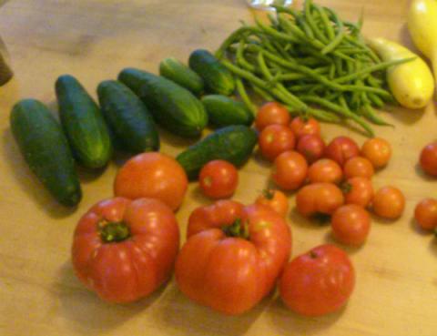 Tomatoes and cukes … oh my!