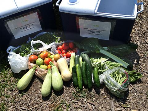 Produce Sharing Edible Evanston